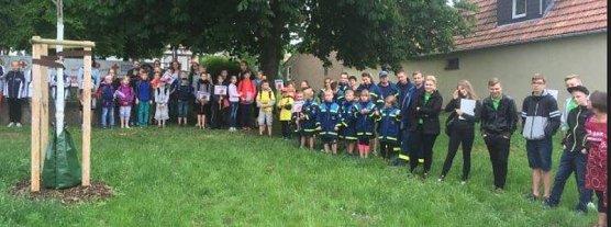 Jugendrotkreuz Sondershausen misst sich bei seinem Jahresh&ouml;hepunkt in Immenrode ! (Foto: DRK Sondershausen)