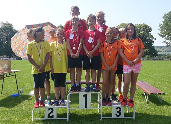 Kreisjugendspiele (Kreismeisterschaften) fortgesetzt (Foto: Uwe R&uuml;diger)