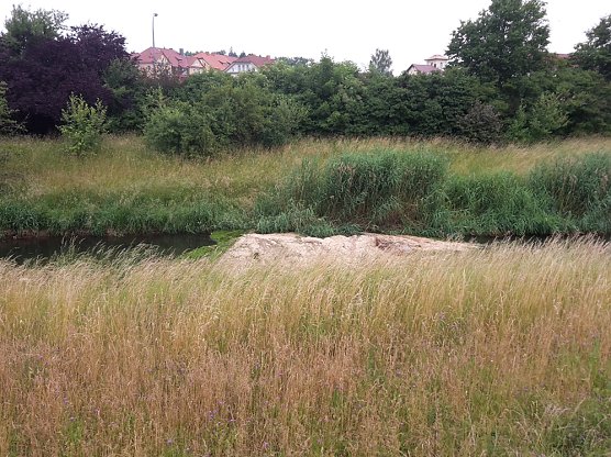 Wipper (Foto: Karl-Heinz Herrmann)