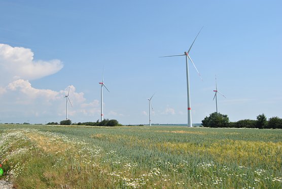 Mit Betreiber gefeiert (Foto: wdp)