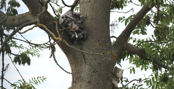 Ausbildungstag Jugendfeuerwehr (Foto: Silva Hendrich / kn)