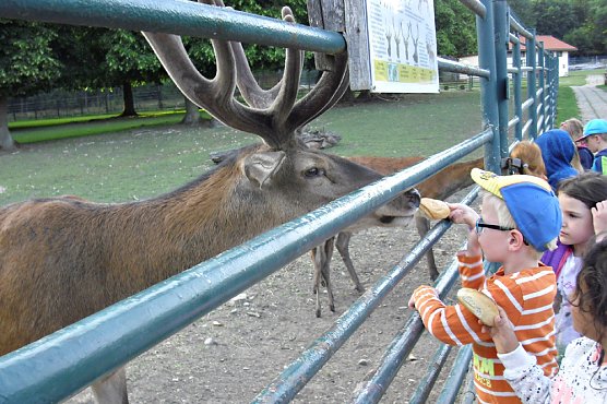 Erlebnisreicher Ausflug (Foto: Kita Sonnenschein)
