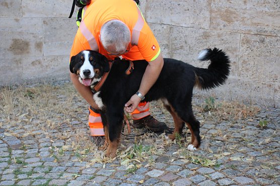 Rettungshunde in Sondershausen unterwegs (Foto: Karl-Heinz Herrmann)