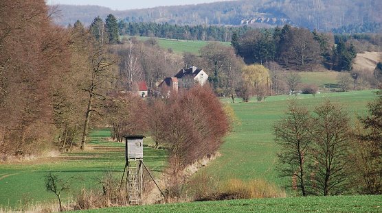 Auf den Spuren wilder Katzen (Foto: A. Heise)