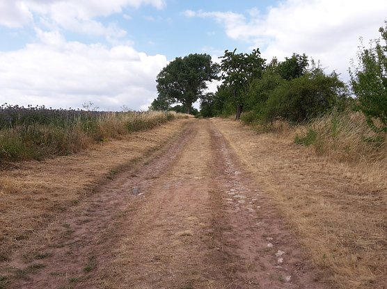 Umdenken bei der Bev&ouml;lkerung notwendig? (Foto: Karl-Heinz Herrmann)