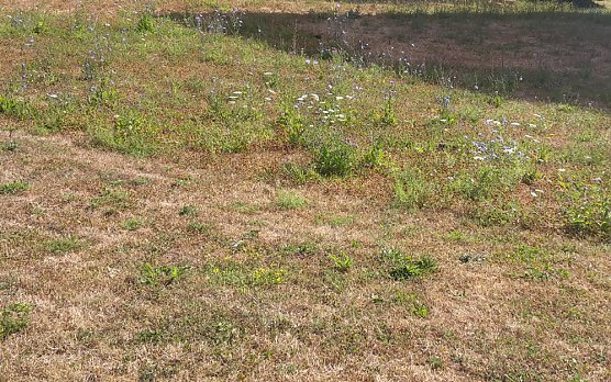 Umdenken bei der Bev&ouml;lkerung notwendig? (Foto: Karl-Heinz Herrmann)