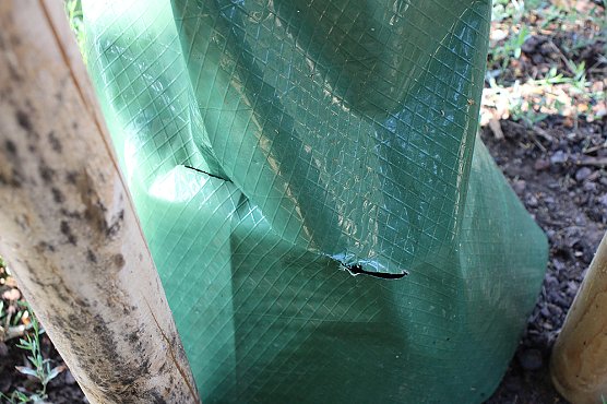 Sinnloser Vandalismus (Foto: Karl-Heinz Herrmann)