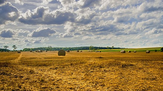 Wetterbild (Foto: Gernot Thelemann)