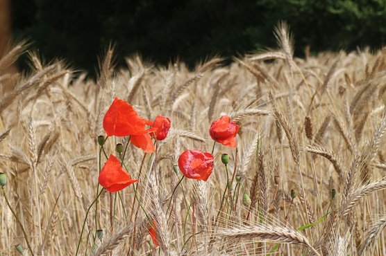 Wetterbild (Foto: Angelo Glashagel)