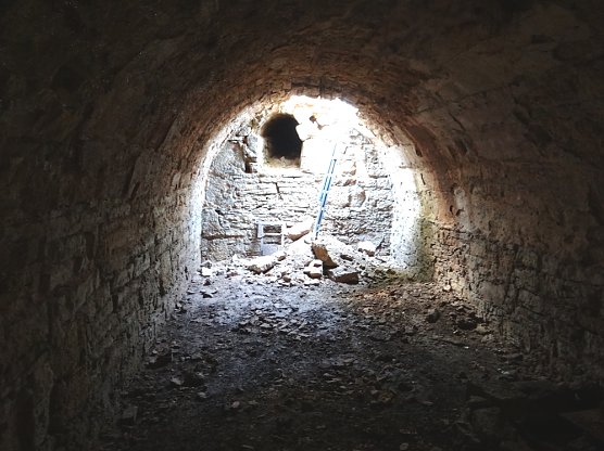 Fund im Schlosspark (Foto: Stiftung Th&uuml;ringer Schl&ouml;sser und G&auml;rten, Dietger Hagner)