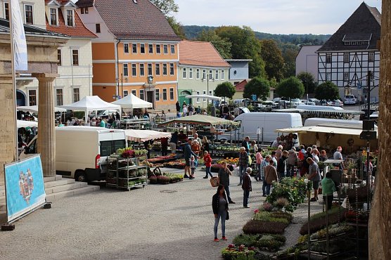 Pflanzen &uuml;ber Pflanzen (Foto: Karl-Heinz Herrmann)