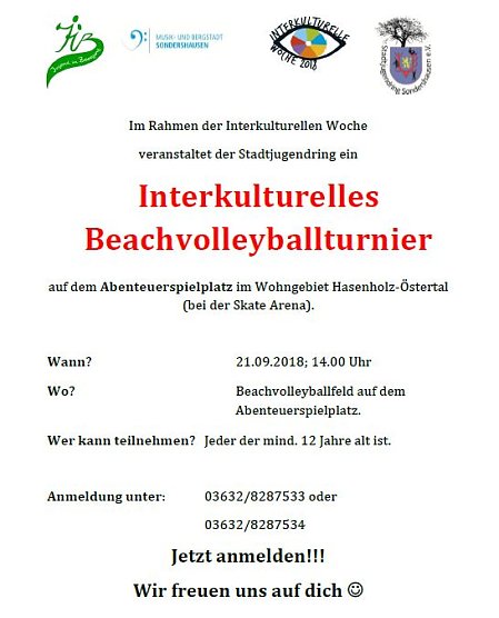Interkulturelles Volleyballturnier (Foto: Stadtjugendring)