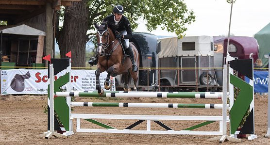 Reitturnier in Heygendorf (Foto: Alexander Behrbohm)