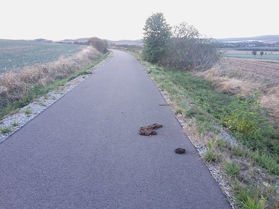 M&uuml;llbeseitigung und mehr (Foto: Karl-Heinz Herrmann)