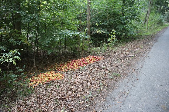 Von &Auml;pfeln und Pferde&auml;pfeln (Foto: Karl-Heinz Herrmann)