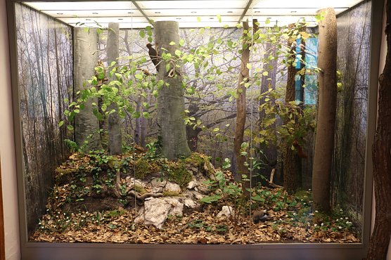 Herbstferien im Regionalmuseum (Foto: Regionalmuseum Bad Frankenhausen) Herbstferien im Regionalmuseum (Foto: Regionalmuseum Bad Frankenhausen)