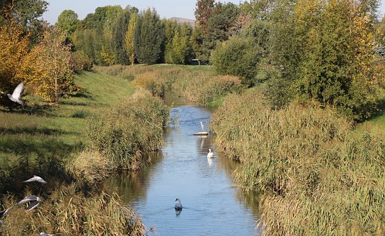 Wipper (Foto: Karl-Heinz Herrmann) Wipper (Foto: Karl-Heinz Herrmann)