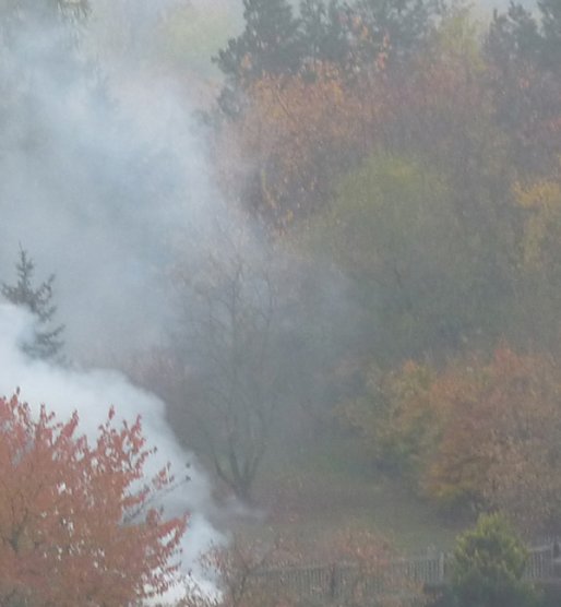 Man sich so was gefallen lassen? (Foto: Karl-Heinz Herrmann) Man sich so was gefallen lassen? (Foto: Karl-Heinz Herrmann)