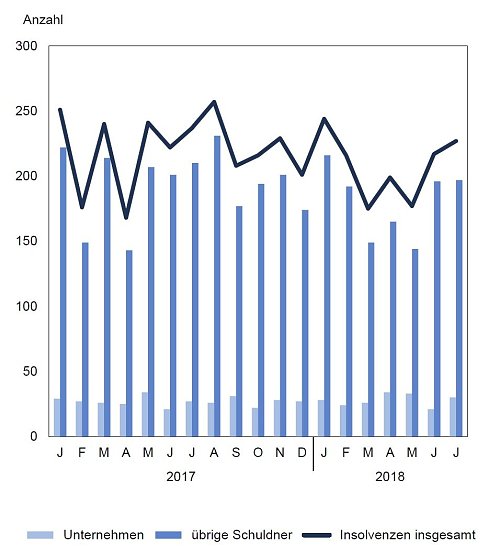 Gemeldete Insolvenzverfahren von Januar 2017 bis Juli 2018 (Foto: TLS)