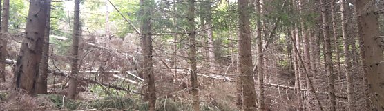 Ist es das, was wir wollen? (Foto: Karl-Heinz Herrmann) Ist es das, was wir wollen? (Foto: Karl-Heinz Herrmann)