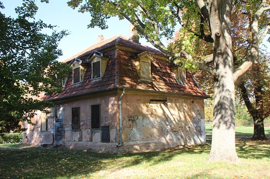 Wie weiter mit dem Schlosspark Sondershausen? (Foto: Karl-Heinz Herrmann) Wie weiter mit dem Schlosspark Sondershausen? (Foto: Karl-Heinz Herrmann)