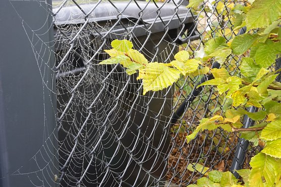 Es gibt unbelehrbare Bürger (Foto: Karl-Heinz Herrmann) Es gibt unbelehrbare Bürger (Foto: Karl-Heinz Herrmann)