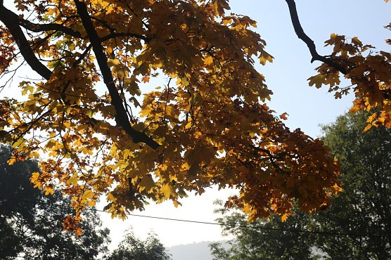 Wetterbild (Foto: Angelo Glashagel) Wetterbild (Foto: Angelo Glashagel)