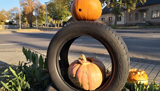 Wetterbild (Foto: nnz)