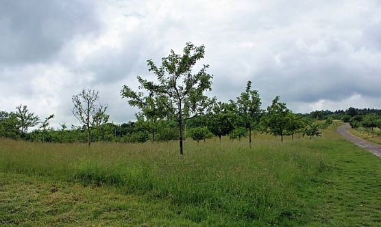 Die biologische Vielfalt im Kyffhäuserkreis entdecken (Foto: Karl-Heinz Herrmann) Die biologische Vielfalt im Kyffhäuserkreis entdecken (Foto: Karl-Heinz Herrmann)