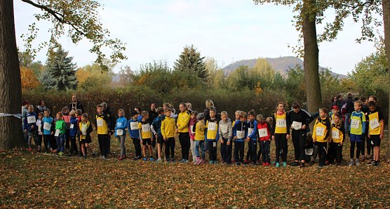 Stadtparklauf in Sondershausen (2) (Foto: Karl-Heinz Herrmann) Stadtparklauf in Sondershausen (2) (Foto: Karl-Heinz Herrmann)