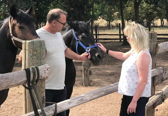 Annahme Baum- und Strauchschnitt (Foto: Sylvia Spehr) Annahme Baum- und Strauchschnitt (Foto: Sylvia Spehr)