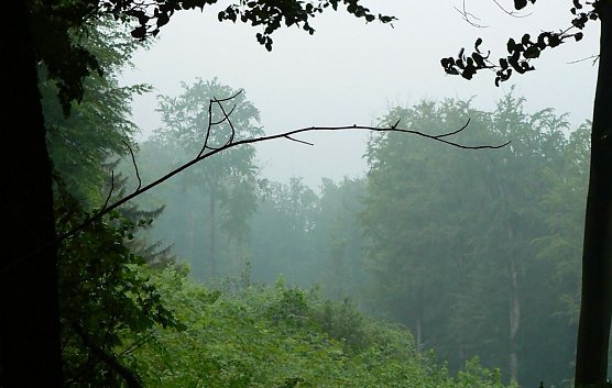 Wetterbild (Foto: Gernot Thelemann)