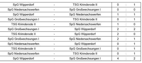 Hallenkreismeisterschaft D-Junioren (Foto: NTKFA)