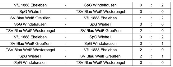 Hallenkreismeisterschaft D-Junioren (Foto: NTKFA)