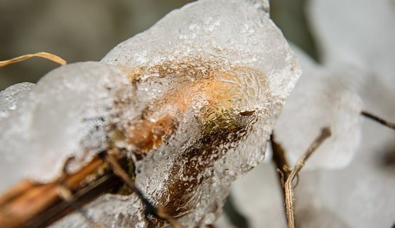 Wetterbild (Foto: Gernot Thelemann)