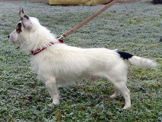 Tier der Woche (Foto: C. Knust)