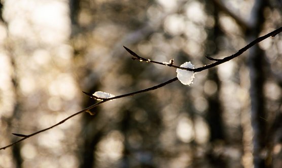 Wetterbild (Foto: Gernot Thelemann)