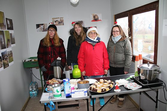 Weihnacht bei den Samtpfoten (Foto: Karl-Heinz Herrmann) Weihnacht bei den Samtpfoten (Foto: Karl-Heinz Herrmann)