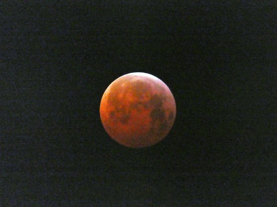 Bilder vom Blutmond (Foto: Jennifer Kirchner)