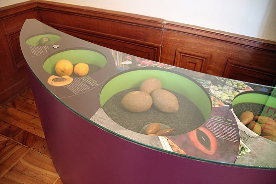 Die Tr&auml;nen der Mango (Foto: Karl-Heinz Herrmann)