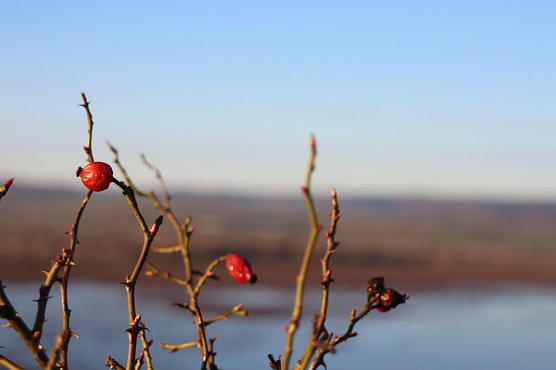 Wetterbild (Foto: Angelo Glashagel) Wetterbild (Foto: Angelo Glashagel)