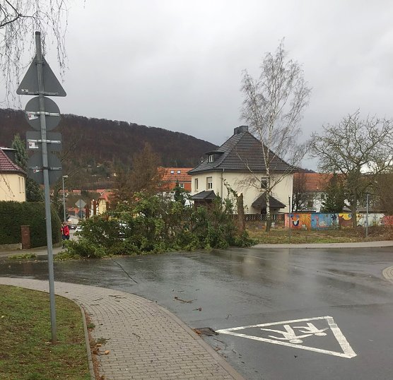 Einsätze wegen Sturmschäden (Foto: Silvio Dietzel) Einsätze wegen Sturmschäden (Foto: Silvio Dietzel)