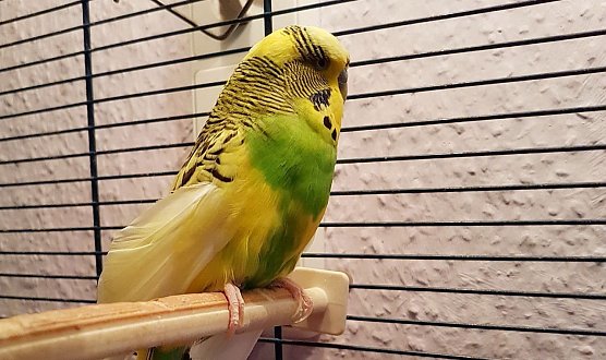 Wer macht so etwas??? (Foto: Silvio Dietzel) Wer macht so etwas??? (Foto: Silvio Dietzel)