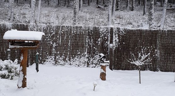 Heute Morgen in Sophienhof (Foto: W. J&ouml;rgens)