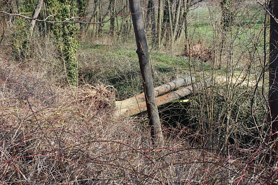 Da ist einiges umgestürzt (Foto: Karl-Heinz Herrmann) Da ist einiges umgestürzt (Foto: Karl-Heinz Herrmann)