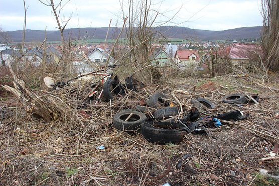 Unmut im &Ouml;stertal (Foto: Karl-Heinz Herrmann)