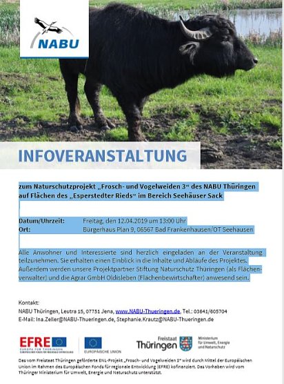 Frosch- und Vogelweiden 3 (Foto: Nabu)