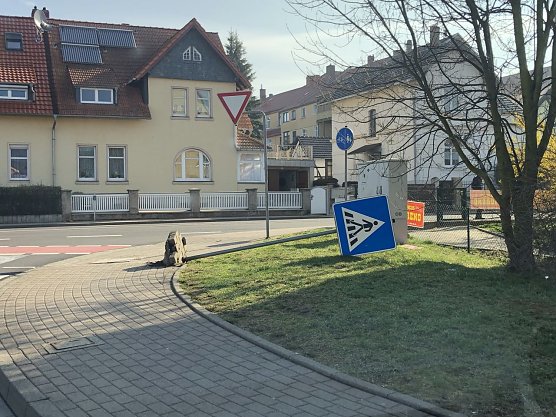 <i>Foto: <b>Silvio Dietzel</b> </i> (Foto: Silvio Dietzel) <i>Foto: <b>Silvio Dietzel</b> </i> (Foto: Silvio Dietzel)