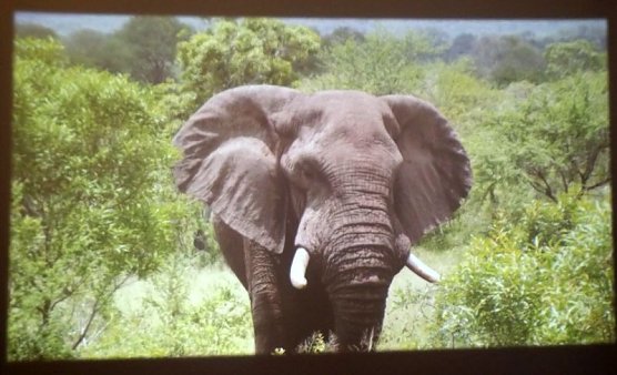 Reise und Wahlen (Foto: Thomas Leipold)