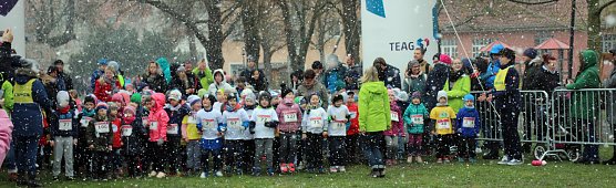 Baminis hart im Nehmen (Foto: Karl-Heinz Herrmann)